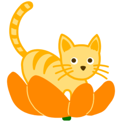 Orange Cat