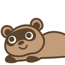 Raccoon